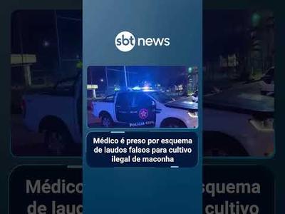 Médico é preso por esquema de laudos falsos para cultivo ilegal de maconha | #SBTManha