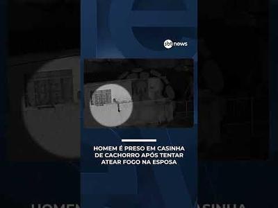 Homem é preso dormindo em casinha de cachorro após atear fogo na esposa no Paraná