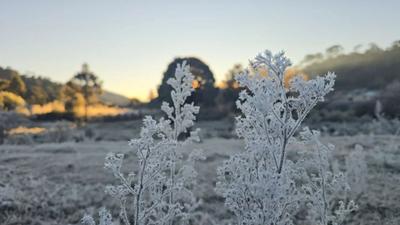 Bom Jardim da Serra (SC) chega a -9,1°C e bate recorde