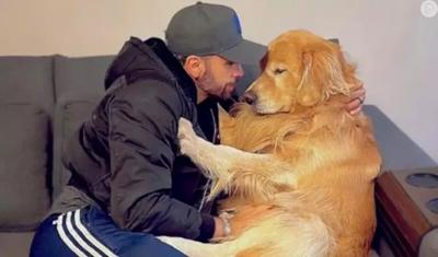 Caso Joca: tutor pede para reabrir inquérito sobre morte do cão durante voo