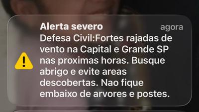 Defesa Civil alerta para ventos fortes de até 100 km/h em SP