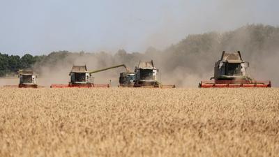 Clima e guerras pressionam preços mundiais dos alimentos