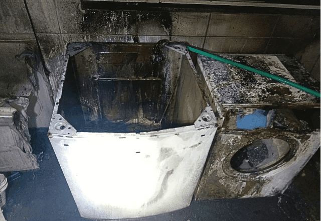 Cachorros salvam família de incêndio em residência em São Miguel do Oeste (SC)