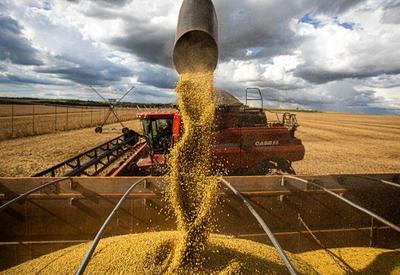 Tarifa afeta US$ 3,2 bi em exportações de máquinas do Brasil