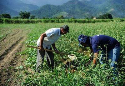 Governo anuncia Plano Safra empresarial de R$ 525 bi