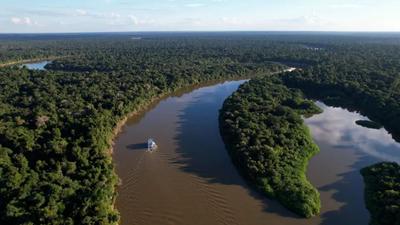 Desmatamento da Amazônia cai 61,4% em maio, diz Inpe