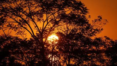 El Niño "muito forte" ameaça impactos no Brasil, diz Inmet