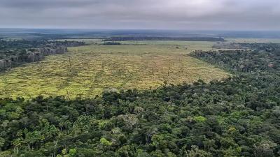 Brasil registra menor nível de emissões de gases do efeito estufa em 16 anos; patamar é insuficiente para atingir meta