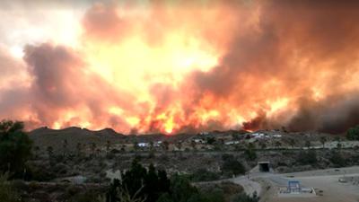 Incêndio florestal deixa 12 mortos no sul da Espanha