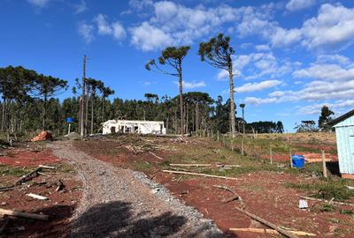 Tornado com ventos de até 200 km/h atinge Paraná