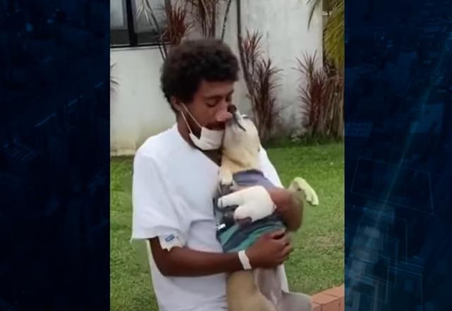Imagem da noticia Cadela espera por dono em porta de hospital durante vinte dias