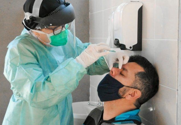 Imagem da noticia Covid-19: até 30% dos anticorpos somem a cada mês, diz professor de Oxford