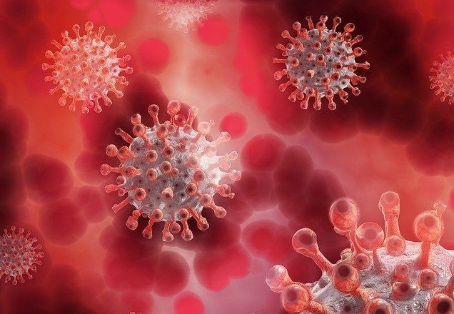 Imagem da noticia Covid-19: número de contaminados chega a 3,5 milhões