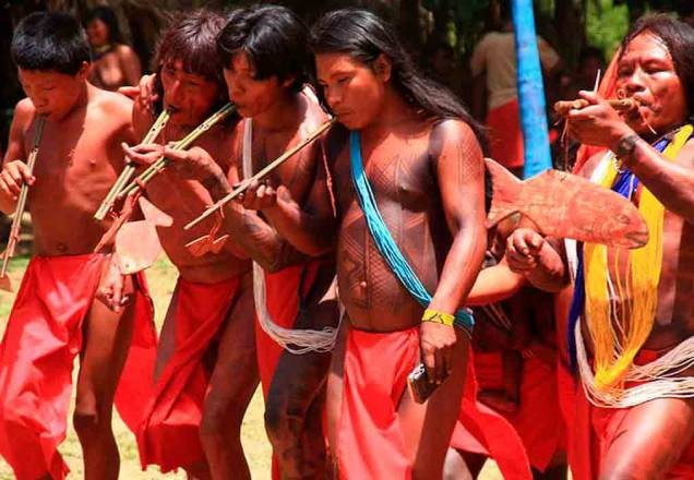 Imagem da noticia Índios não colocam fogo em floresta, diz cacique