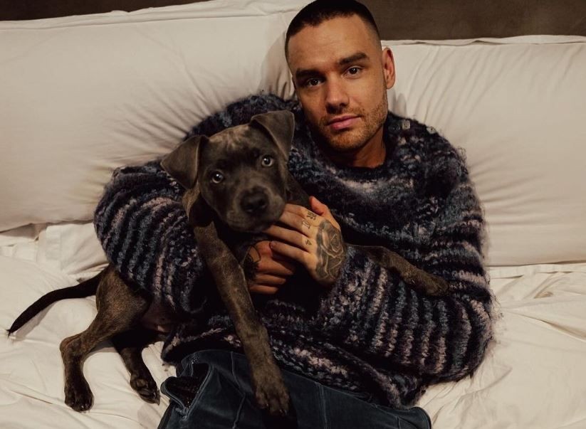 Imagem da noticia  Liam Payne tentava escapar de quarto de hotel quando morreu, aponta relatório