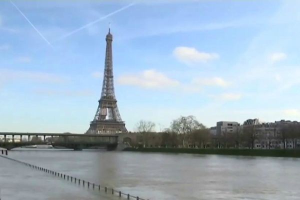 Imagem da noticia Paris sofre com infestação de ratos após enchente do rio Sena