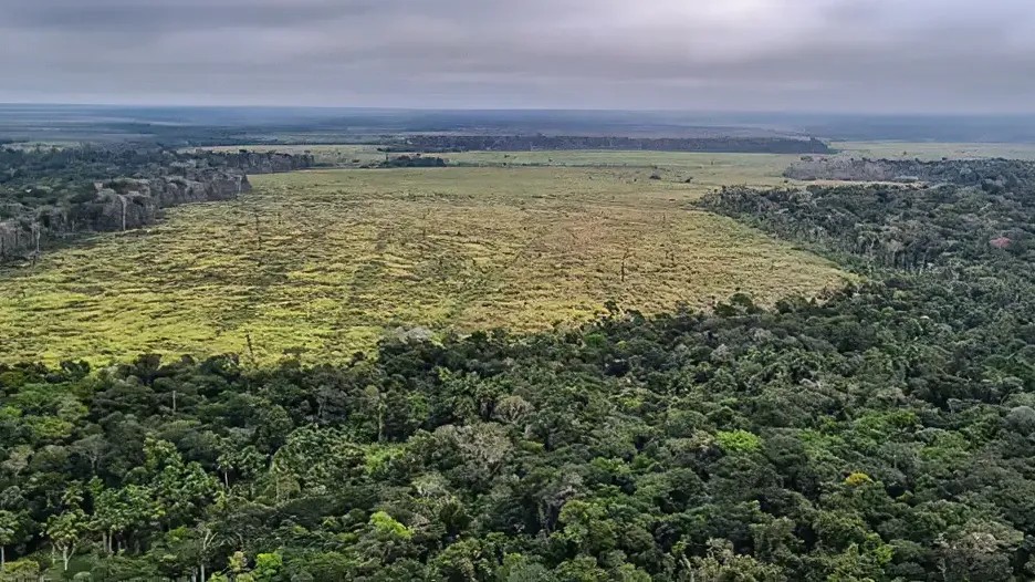 Imagem da noticia Brasil registra menor nível de emissões de gases do efeito estufa em 16 anos; patamar é insuficiente para atingir meta
