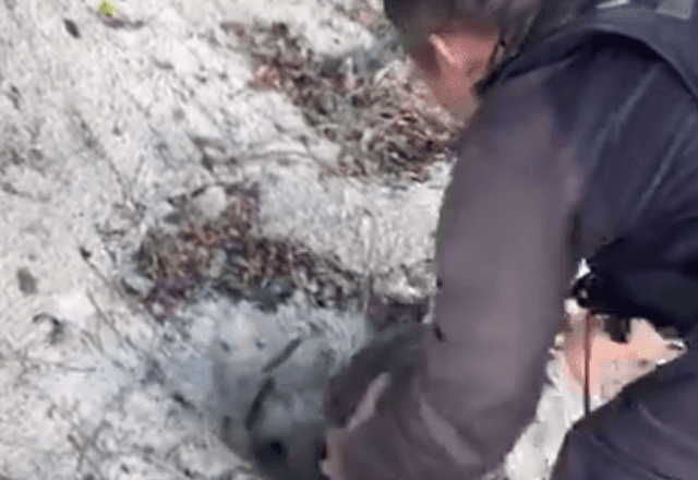 Imagem da noticia Vídeo: veja o momento em que PM encontra pedras de crack escondidas em dunas no Rio