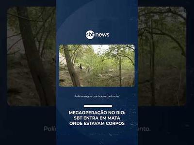 121 mortos: SBT entra em mata onde corpos foram encontrados após megaoperação no Rio | #SBTBrasil 121 mortos: SBT entra em mata onde corpos foram encontrados após megaoperação no Rio | #SBTBrasil