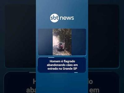 Homem é flagrado abandonando cães em estrada na Grande SP | #SBTNoticias Homem é flagrado abandonando cães em estrada na Grande SP | #SBTNoticias