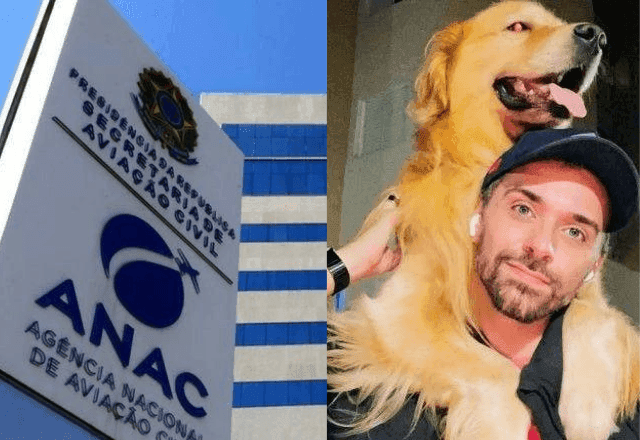 Após morte de Joca, governo cria comissão para definir regras para transporte de pets em avião Após morte de Joca, governo cria comissão para definir regras para transporte de pets em avião