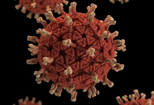 Imagem da noticia Subvariantes da ômicron correspondem a 99,8% das infecções mundiais