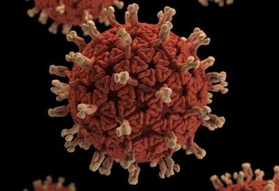 Subvariantes da ômicron correspondem a 99,8% das infecções mundiais Subvariantes da ômicron correspondem a 99,8% das infecções mundiais