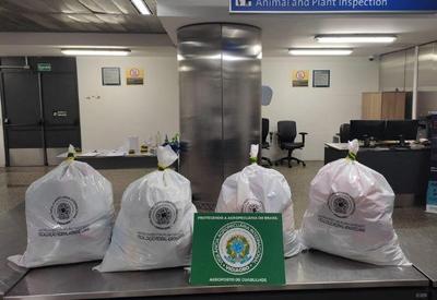 Fiscalização apreende 100 kg de embutidos no aeroporto de Guarulhos Fiscalização apreende 100 kg de embutidos no aeroporto de Guarulhos