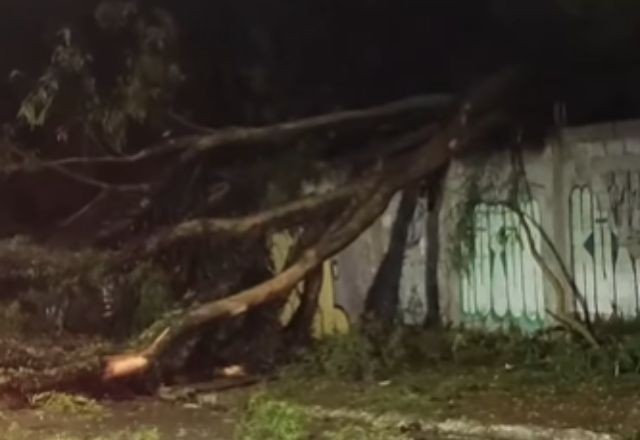Imagem da noticia Ventania e chuva deixam 205 mil sem luz em São Paulo