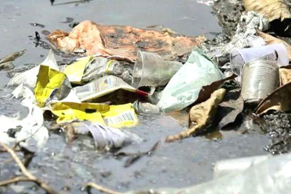 Aumento dos casos de leptospirose preocupa população de Pernambuco  Aumento dos casos de leptospirose preocupa população de Pernambuco