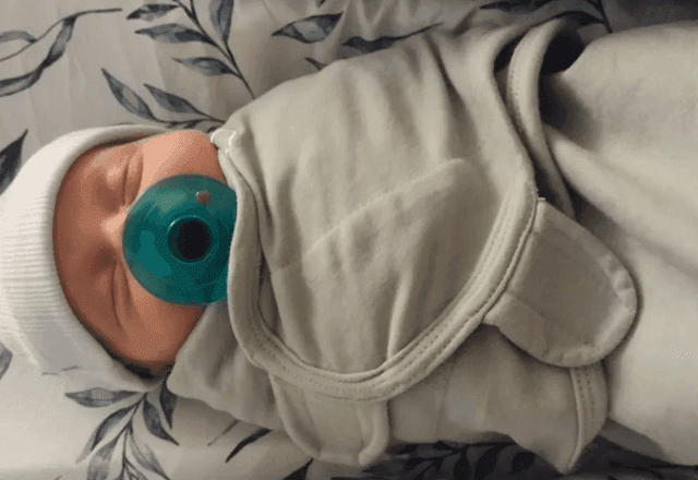 "Bebê mais velho do mundo" nasce de embrião congelado há mais de 30 anos nos EUA "Bebê mais velho do mundo" nasce de embrião congelado há mais de 30 anos nos EUA