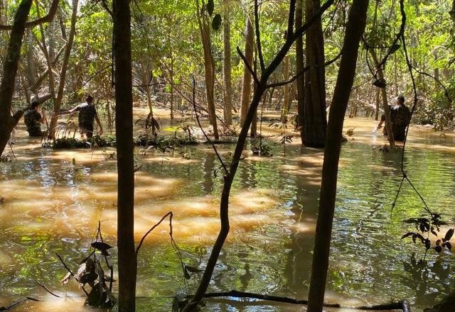 Imagem da noticia Suspeitos confessaram crime e levaram PF a restos mortais no Amazonas