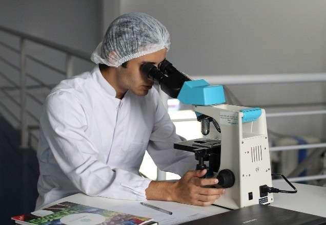 Cientistas brasileiros descobrem efeito do zika vírus no cérebro de bebês Cientistas brasileiros descobrem efeito do zika vírus no cérebro de bebês