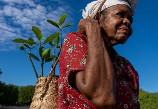 Imagem da noticia Brasil doa US$ 120 mil para vítimas de ciclone no Timor-Leste