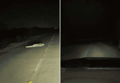 VÍDEO: criminosos estariam usando bonecos em rodovias para simular corpos e assaltar motoristas VÍDEO: criminosos estariam usando bonecos em rodovias para simular corpos e assaltar motoristas
