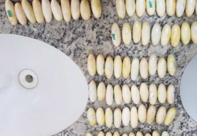 Imagem da noticia PF prende dois passageiros com 214 cápsulas de cocaína no estômago