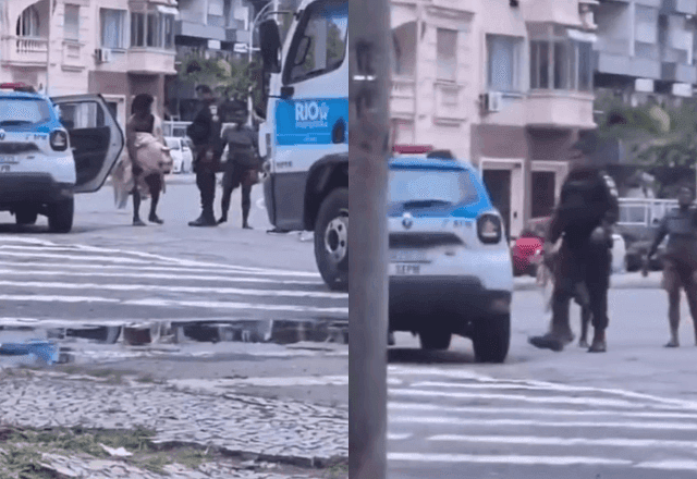 VÍDEO: homem em situação de rua é flagrado caminhando com uma tartaruga-marinha no Rio VÍDEO: homem em situação de rua é flagrado caminhando com uma tartaruga-marinha no Rio