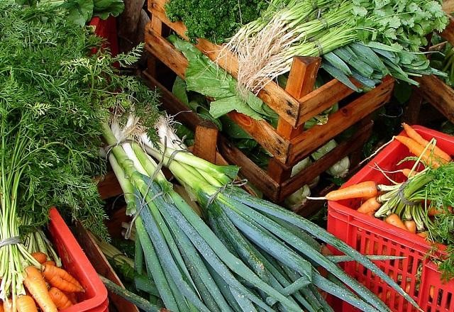 Imagem da noticia Governo Federal libera mais R$ 250 milhões para o Programa de Aquisição de Alimentos