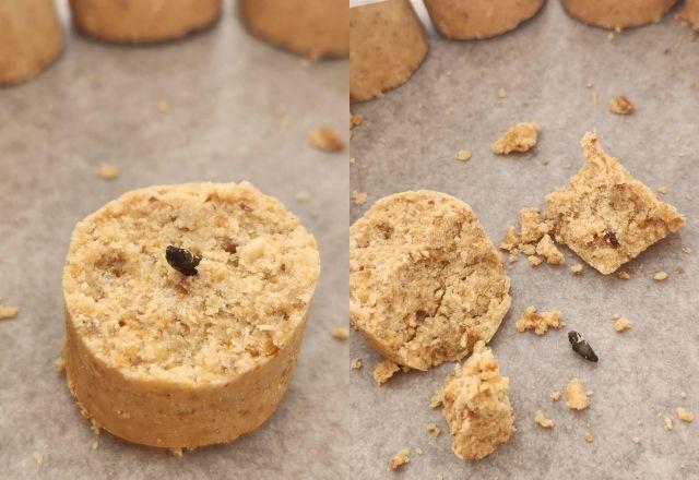 Homem come Paçoquita com fezes de rato e empresa é condenada; "a que eu mais gostava", diz Homem come Paçoquita com fezes de rato e empresa é condenada; "a que eu mais gostava", diz