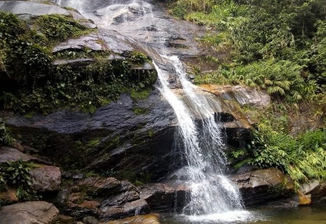 Imagem da noticia Floresta da Tijuca: Conheça o parque Nacional mais visitado do Brasil