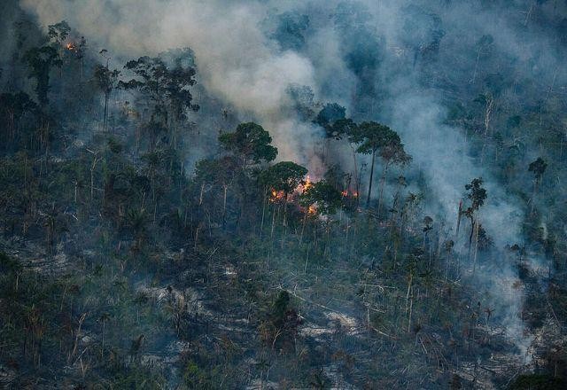 Imagem da noticia Primeiro semestre de 2023 tem alta nos focos de calor na Amazônia