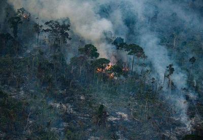 Primeiro semestre de 2023 tem alta nos focos de calor na Amazônia Primeiro semestre de 2023 tem alta nos focos de calor na Amazônia