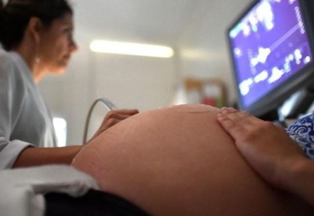 Imagem da noticia Dengue na gravidez pode ser até 4 vezes mais letal, alertam especialistas