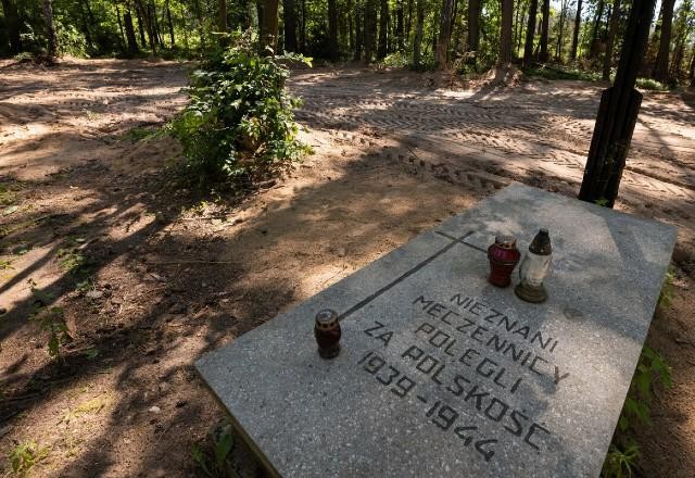 Imagem da noticia Cinzas de 8 mil vítimas do nazismo são encontradas em valas na Polônia