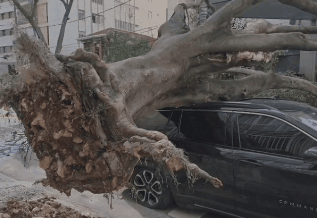Frente fria provoca ventania e quedas de árvores em São Paulo; ao menos duas pessoas ficaram feridas Frente fria provoca ventania e quedas de árvores em São Paulo; ao menos duas pessoas ficaram feridas