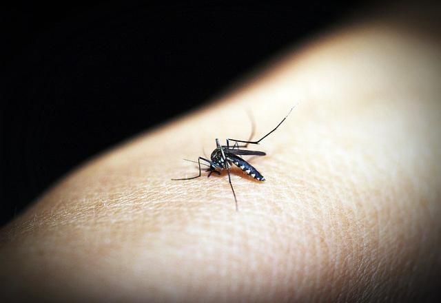 Imagem da noticia Brasil ultrapassa 400 mil casos prováveis de dengue, diz Saúde