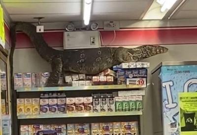 Lagarto gigante invade loja de departamento e "toca o terror" na Tailândia Lagarto gigante invade loja de departamento e "toca o terror" na Tailândia