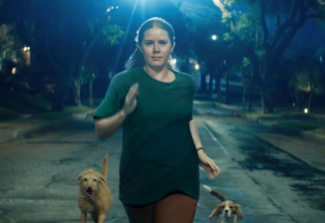 Imagem da noticia Filme "Canina", com Amy Adams, traz a experiência visceral da maternidade