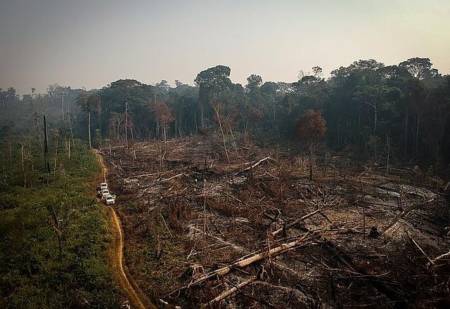 Imagem da noticia Ministro do Meio Ambiente nega erros do governo sobre desmatamento