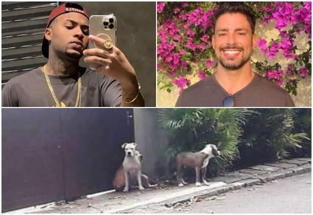Imagem da noticia Exclusivo: veja o depoimento de Cauã Reymond contra o rapper Orochi